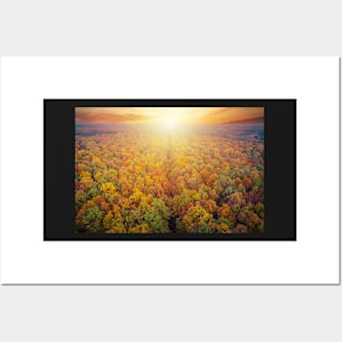 Aerial view of road through colorful autumn forest and beautiful sunset Posters and Art